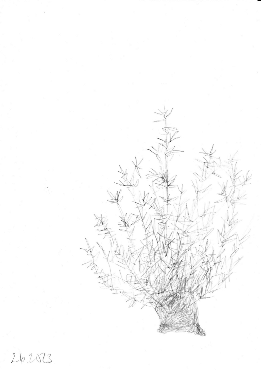 230602