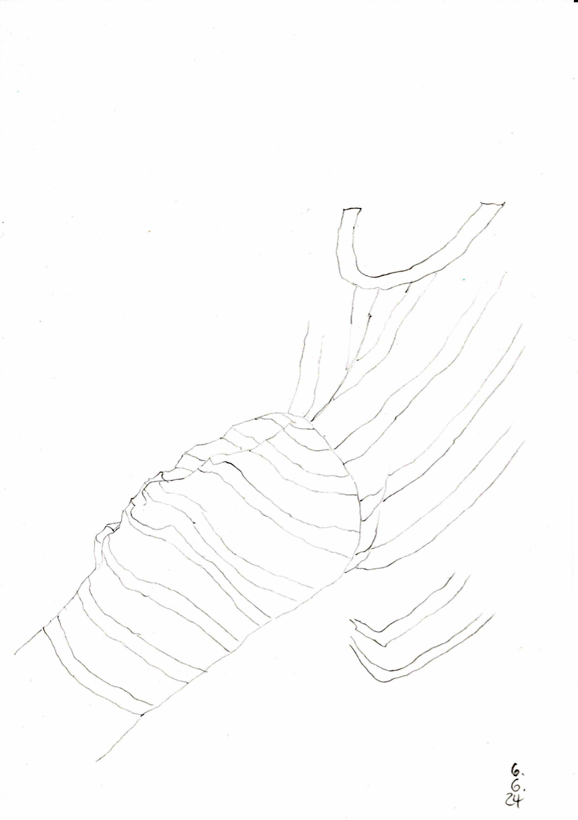 20240606