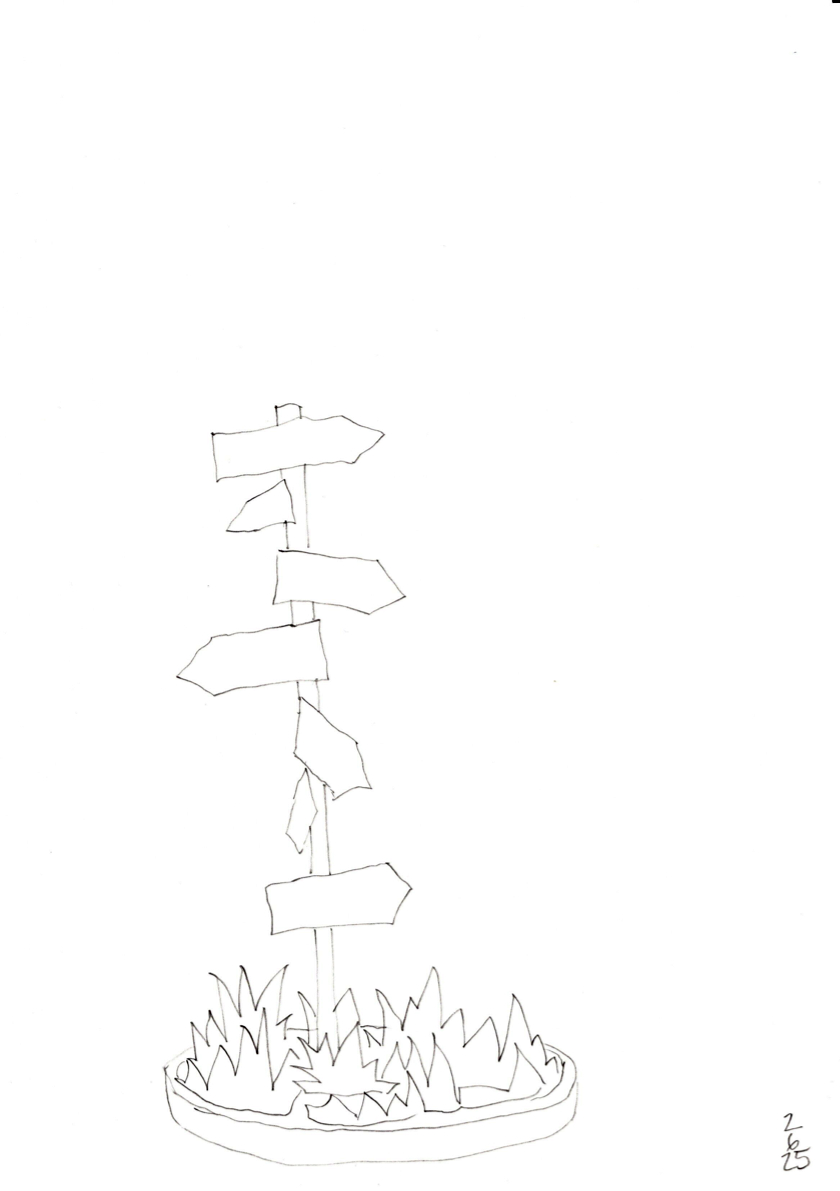 20250602