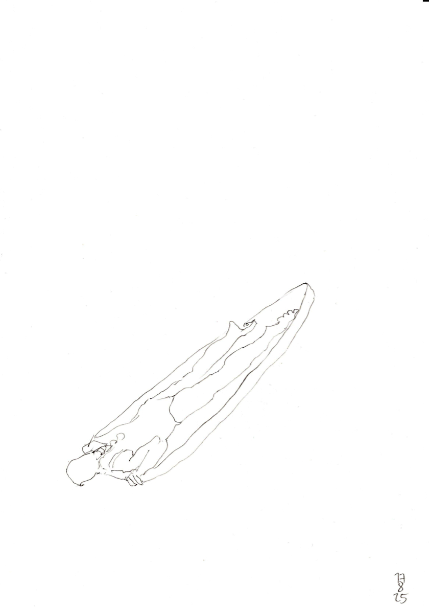20250817