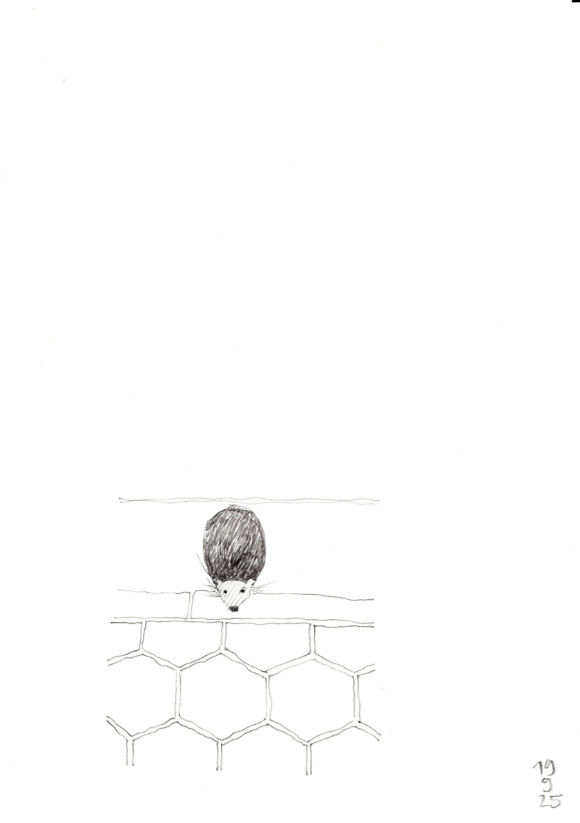 20250919